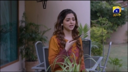 Haq Mehar - Episode 20 - 17th August 2024